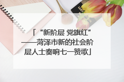 “新阶层 党旗红”——菏泽市新的社会阶层人士奏响七一赞歌
